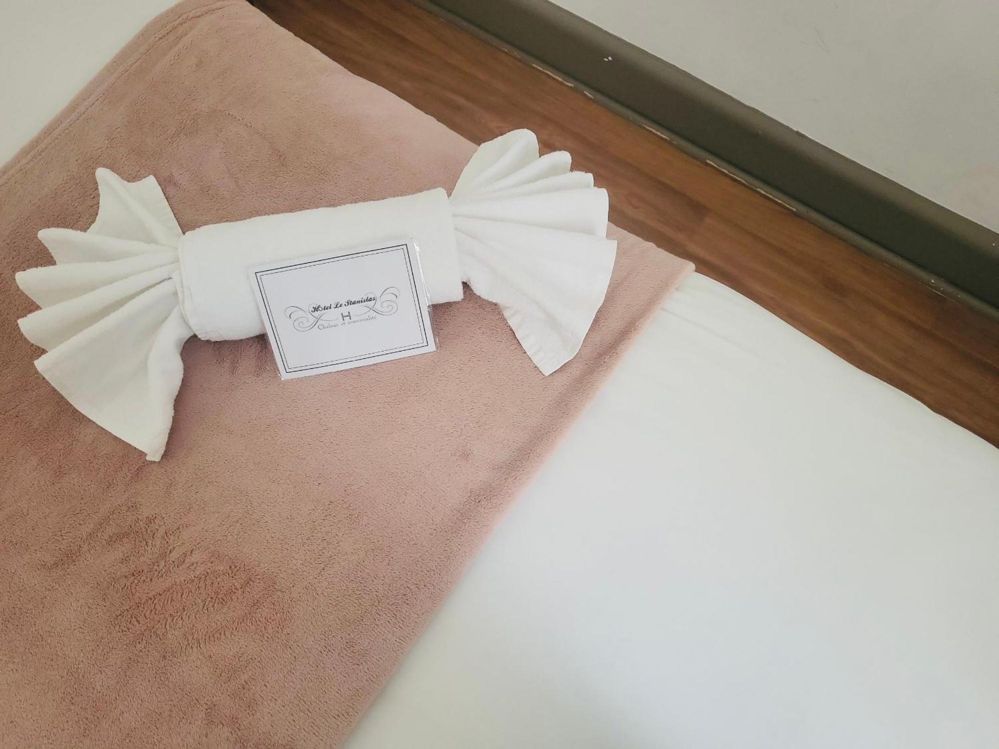 Hotel Le Stanislas Nancy Bagian luar foto